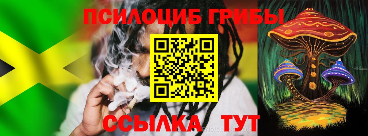 Галлюциногенные грибы Psilocybine cubensis  Вход с VPN  Волжск  Псилоцибиновые грибы GOLDEN TEACHER 